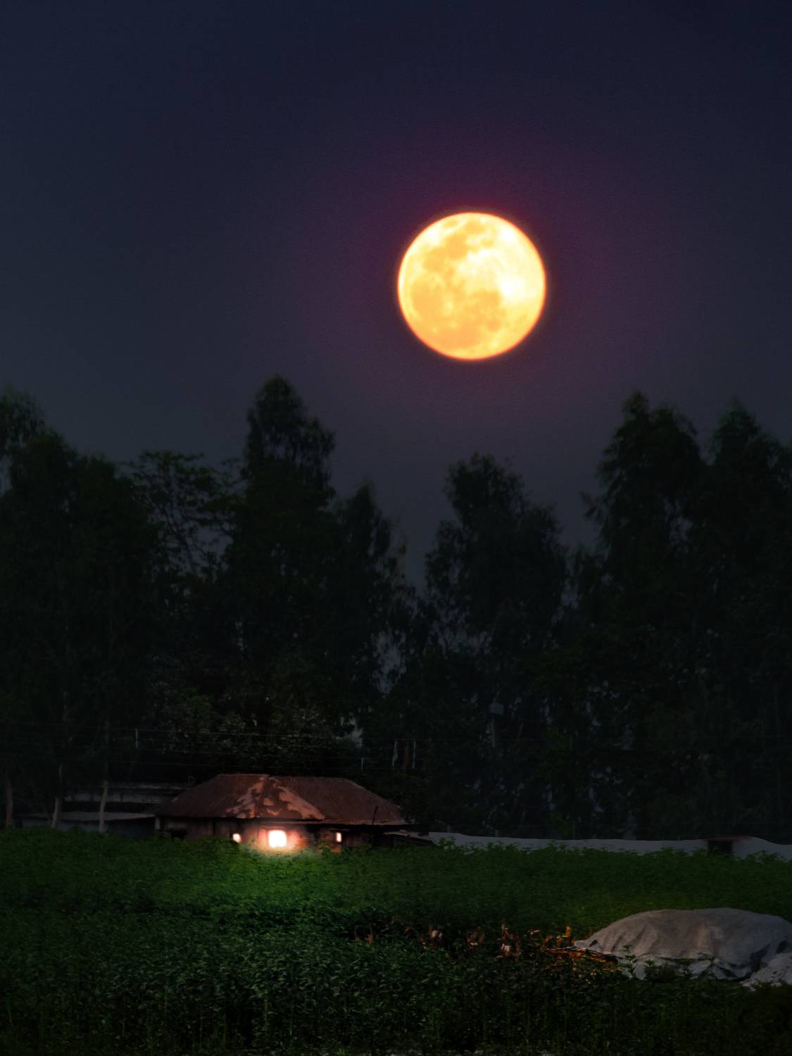 Photo #9223274