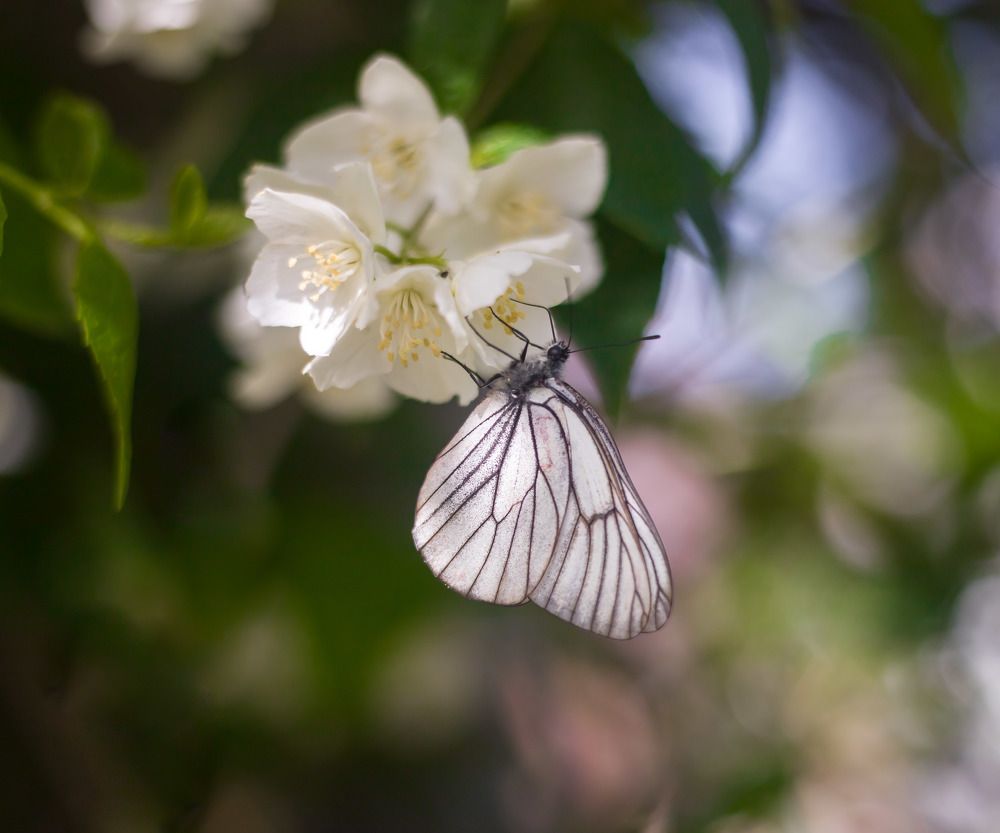 Photograph by Екатерина Вспышкина