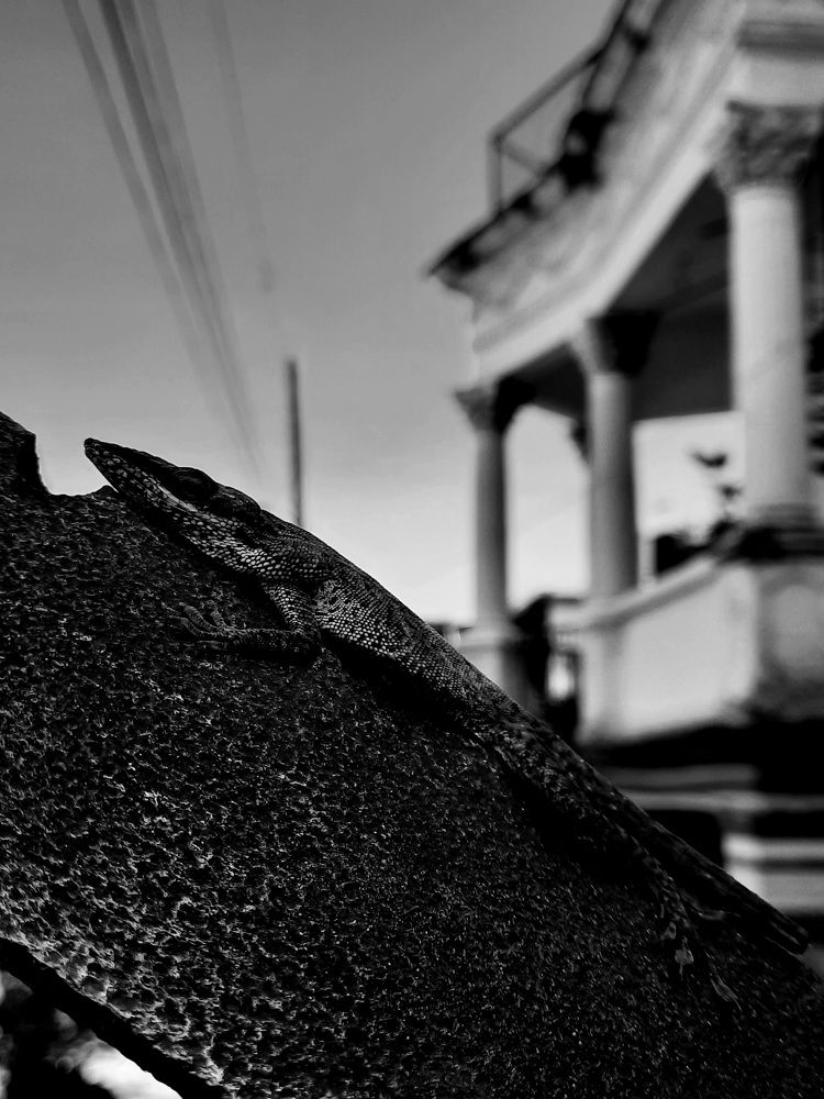 Photograph by Jorge Cruz Fraga