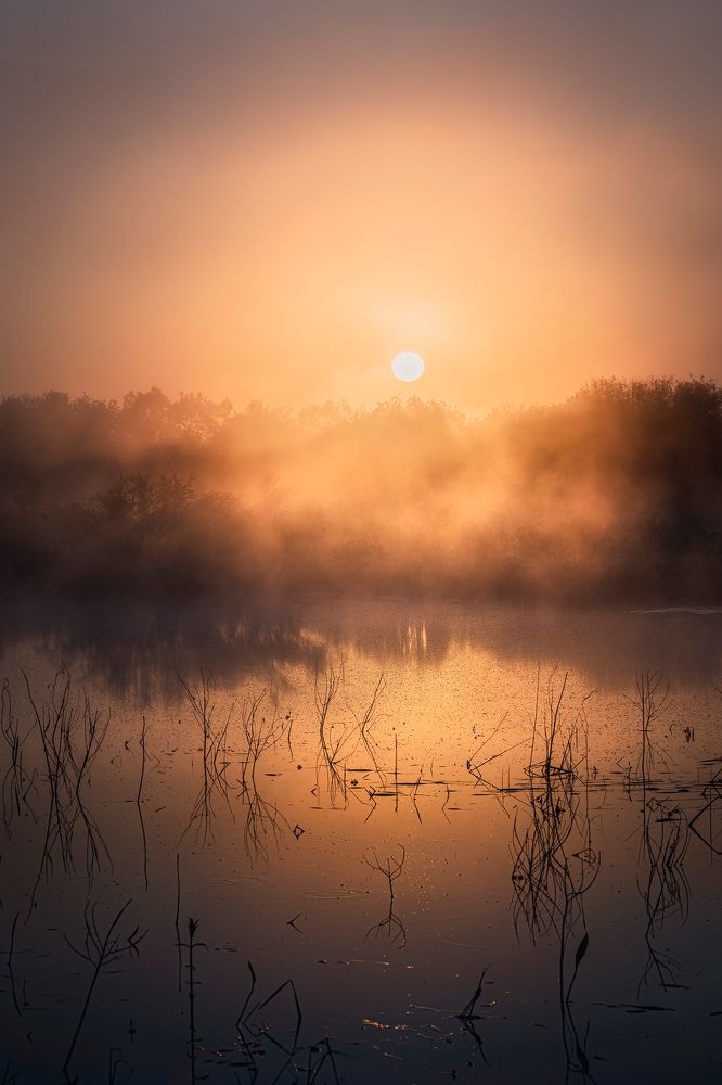 Летний туман