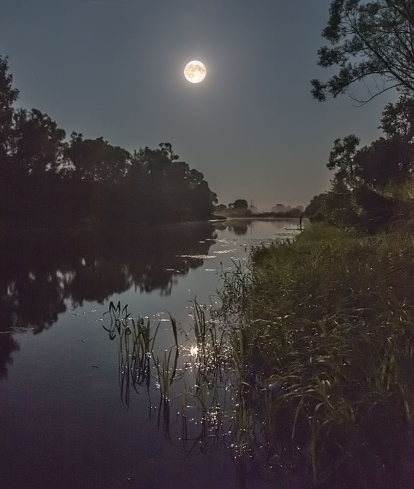 Летней ночью на реке.