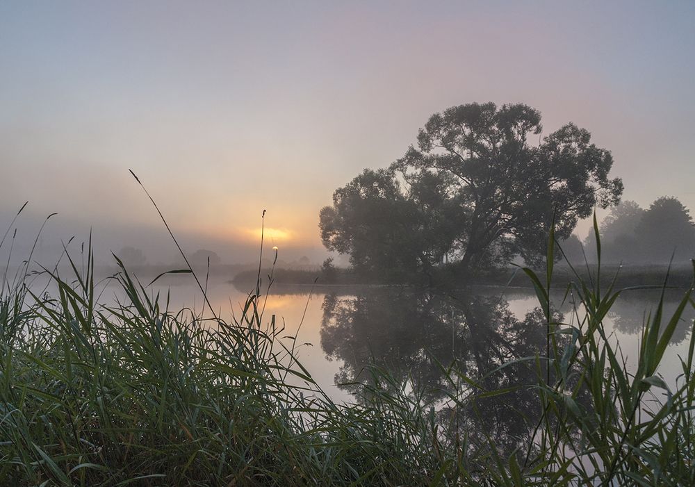 Июльский восход.