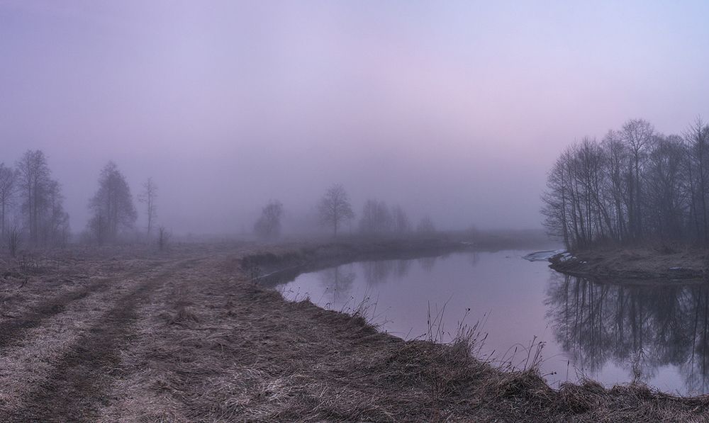 Сиреневый туман.