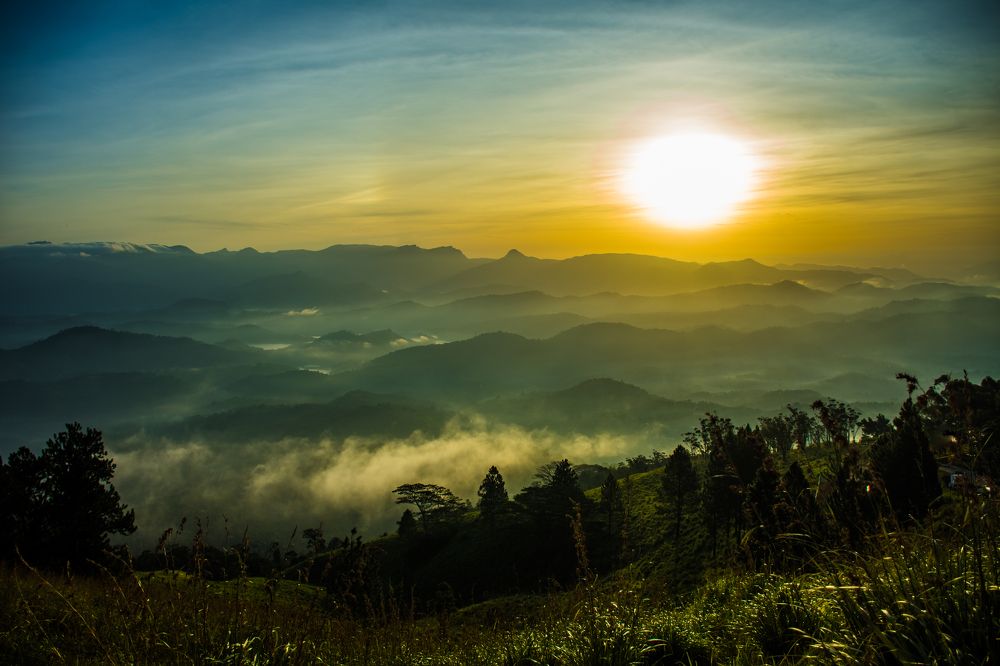 Photograph by Lithira Amarapala