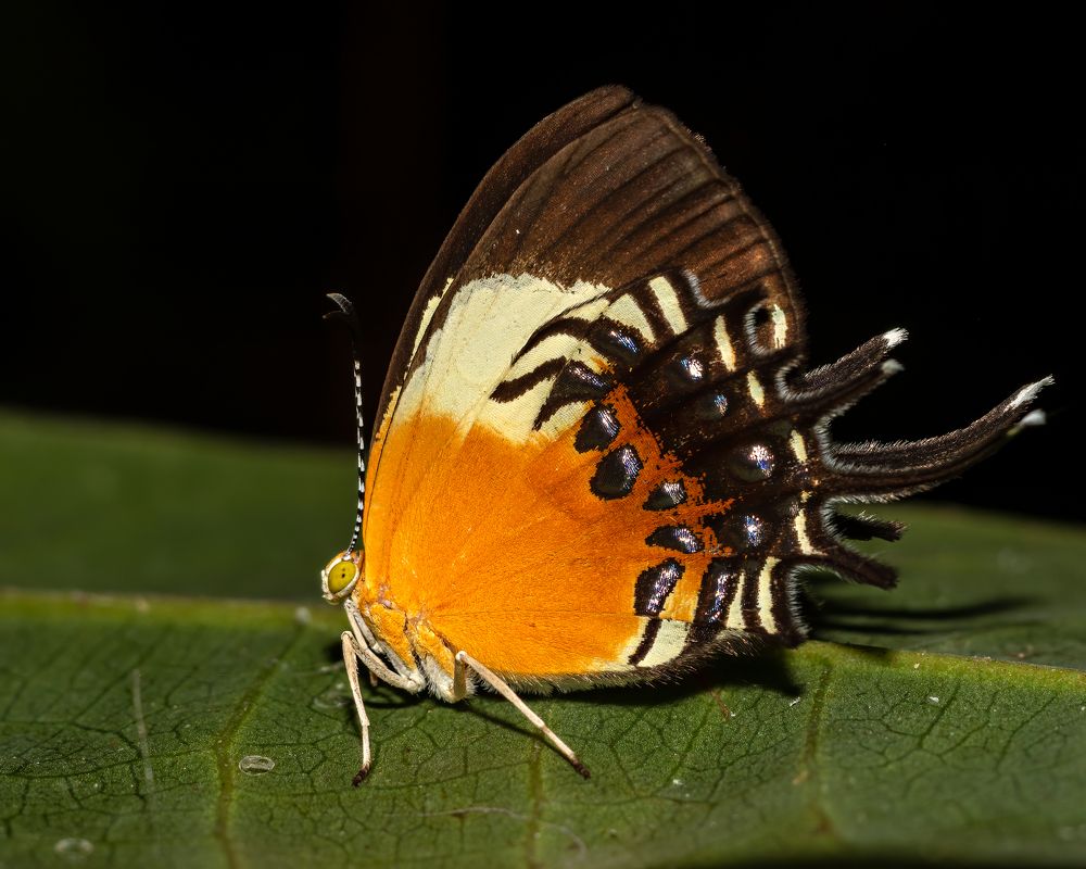 Photograph by Valdir Hobus