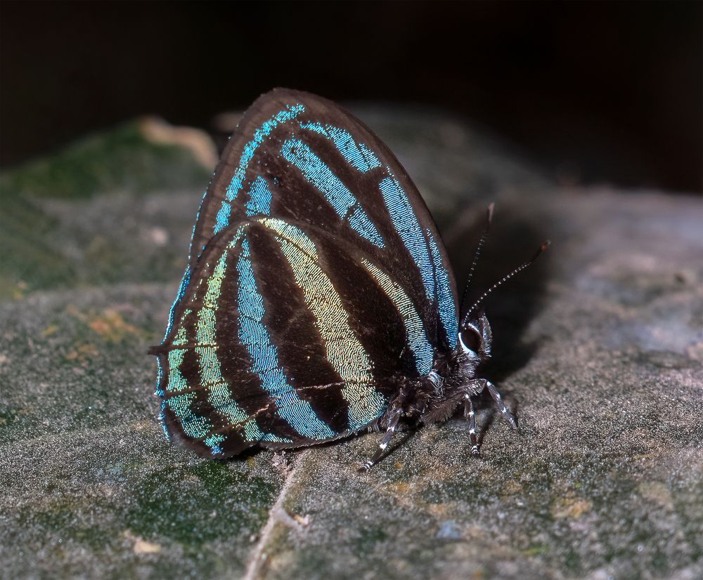 Photograph by Valdir Hobus