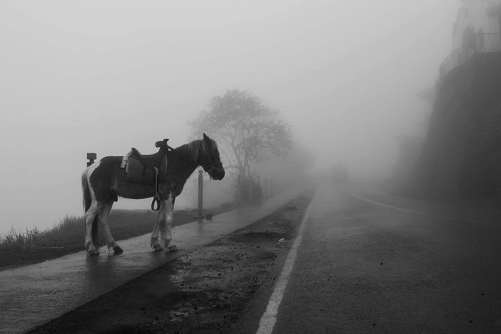 Photograph by reymart sefuentes