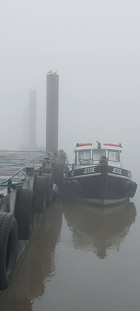 Фотография автора Igor Repishevski