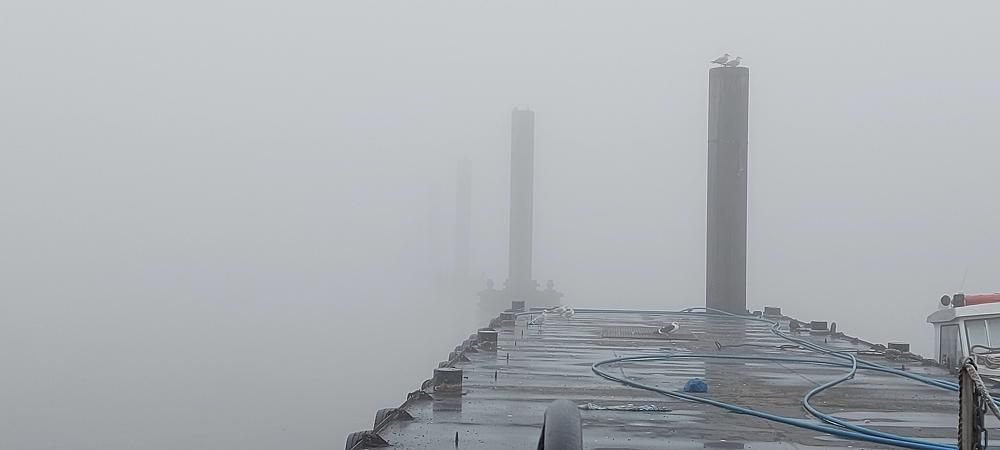 Фотография автора Igor Repishevski