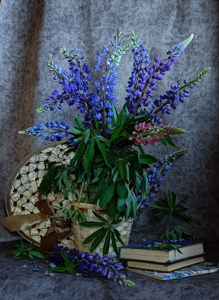 Фотография автора Татьяна Лукашева