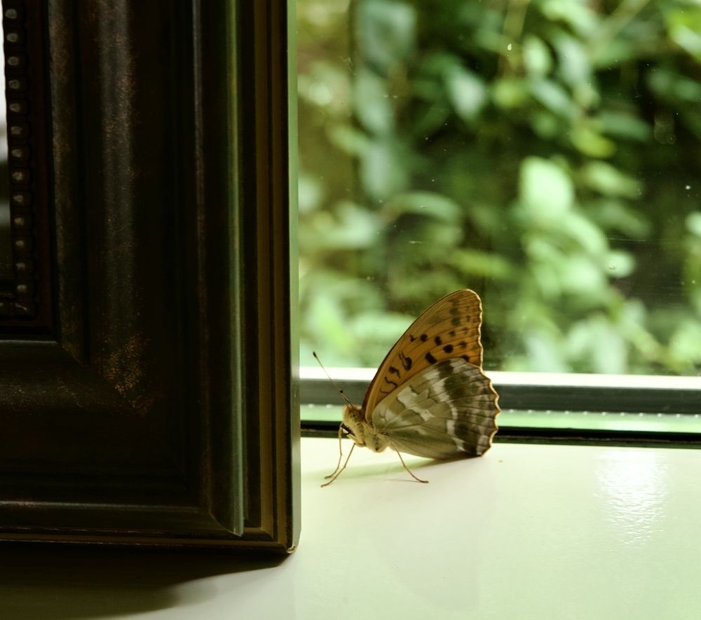 Photograph by Светлана Георкова