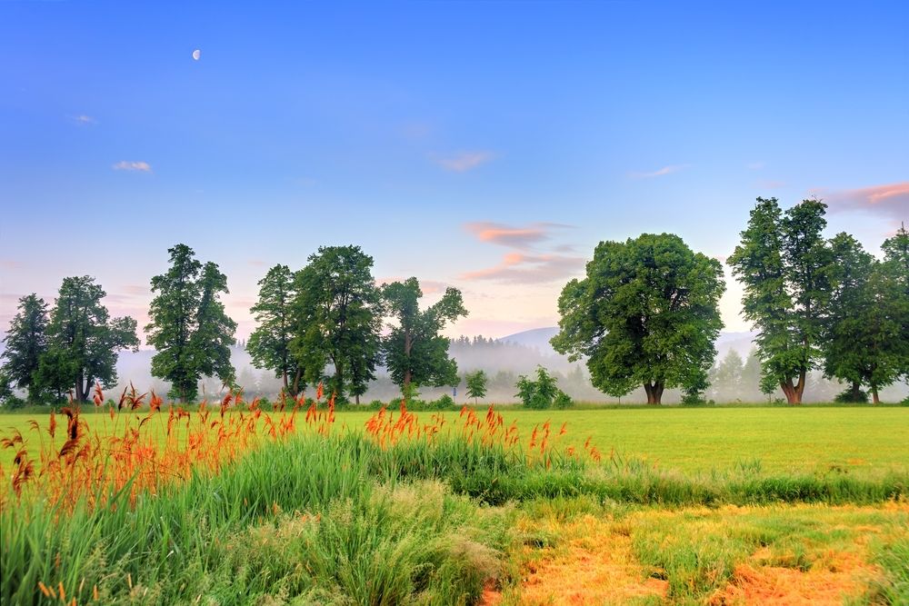 Photograph by Maciej Wydmuch