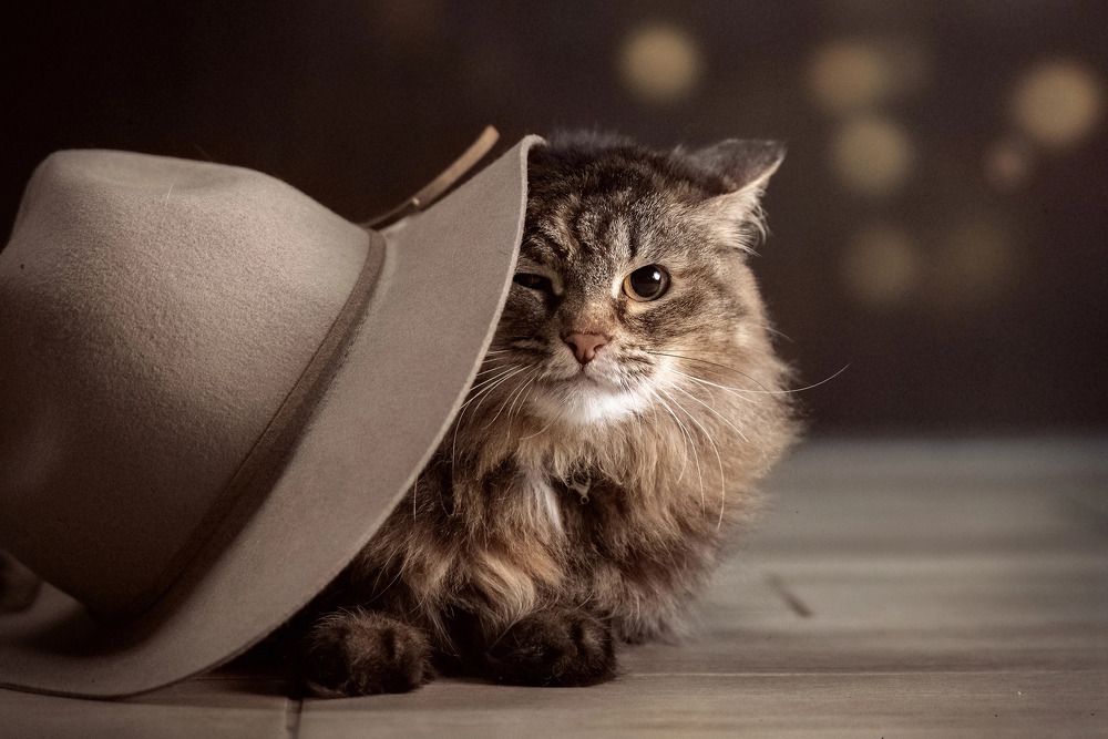 Photograph by Татьяна Тихомирова