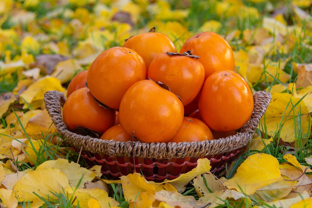 Фотография автора Valery