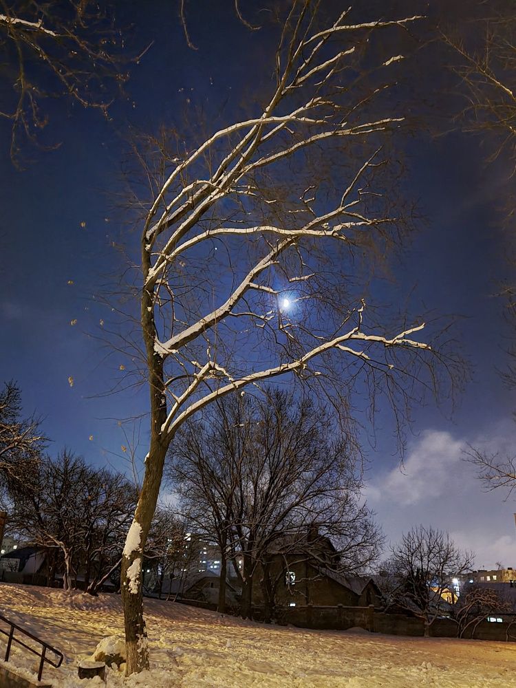 Photograph by Татьяна Соколовская