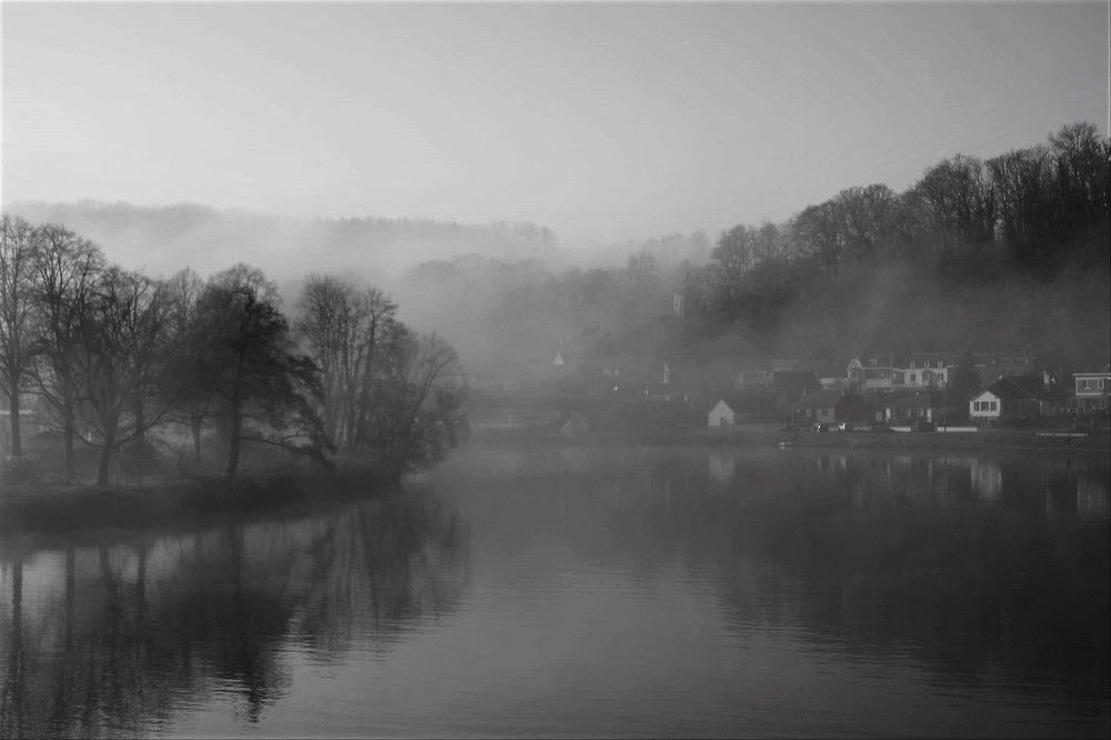 Фотография автора caroline martin (dony)