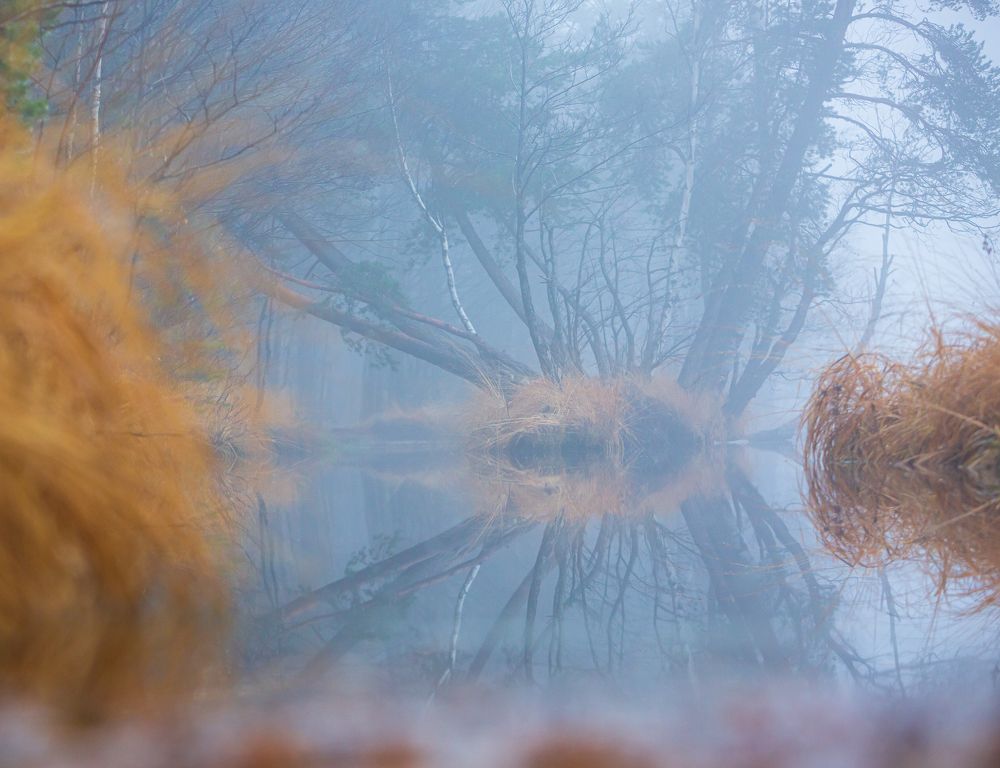 Photograph by Игорь Шерман