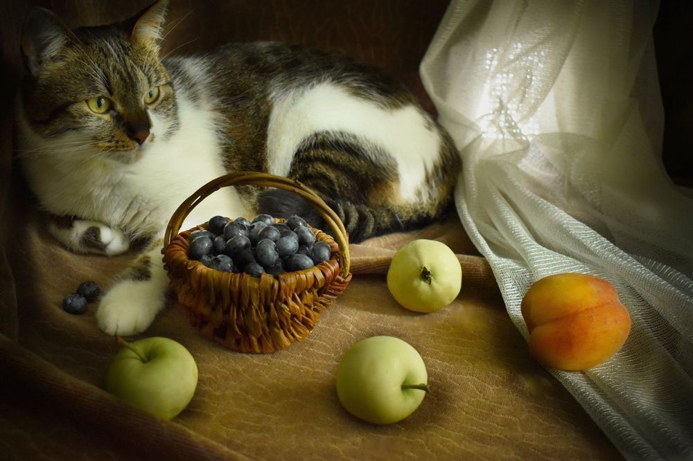 Photograph by Олена Лукашевич