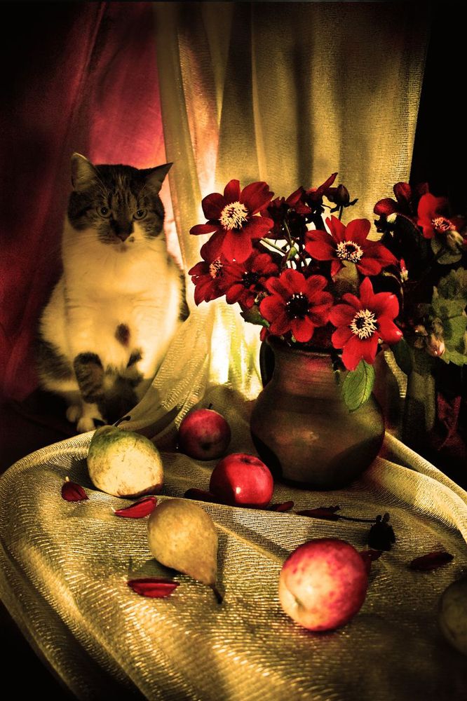 Очікування