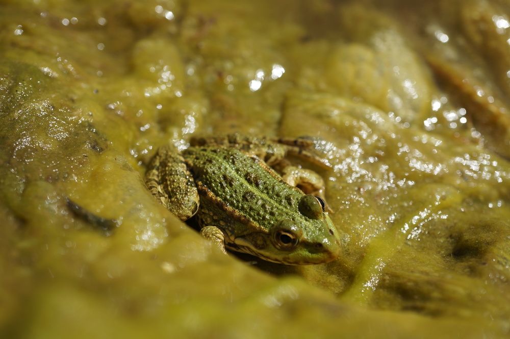 Photograph by Надежда Яковлева