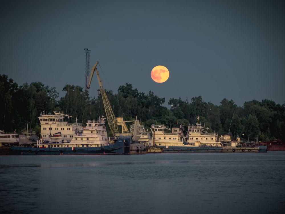 Photograph by Konstantin Martynov