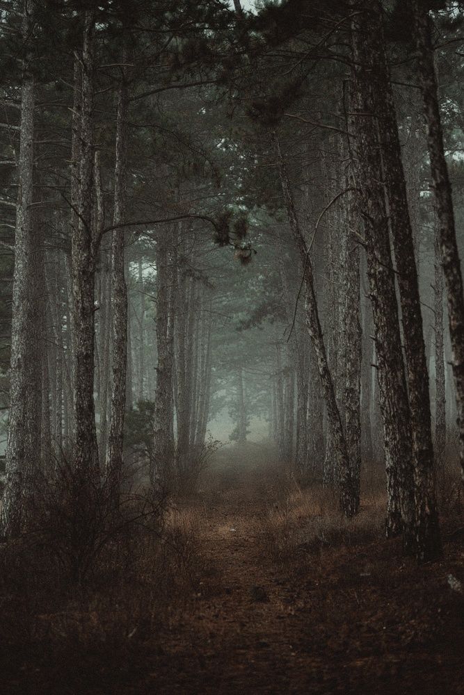 Photograph by Иван Комаров