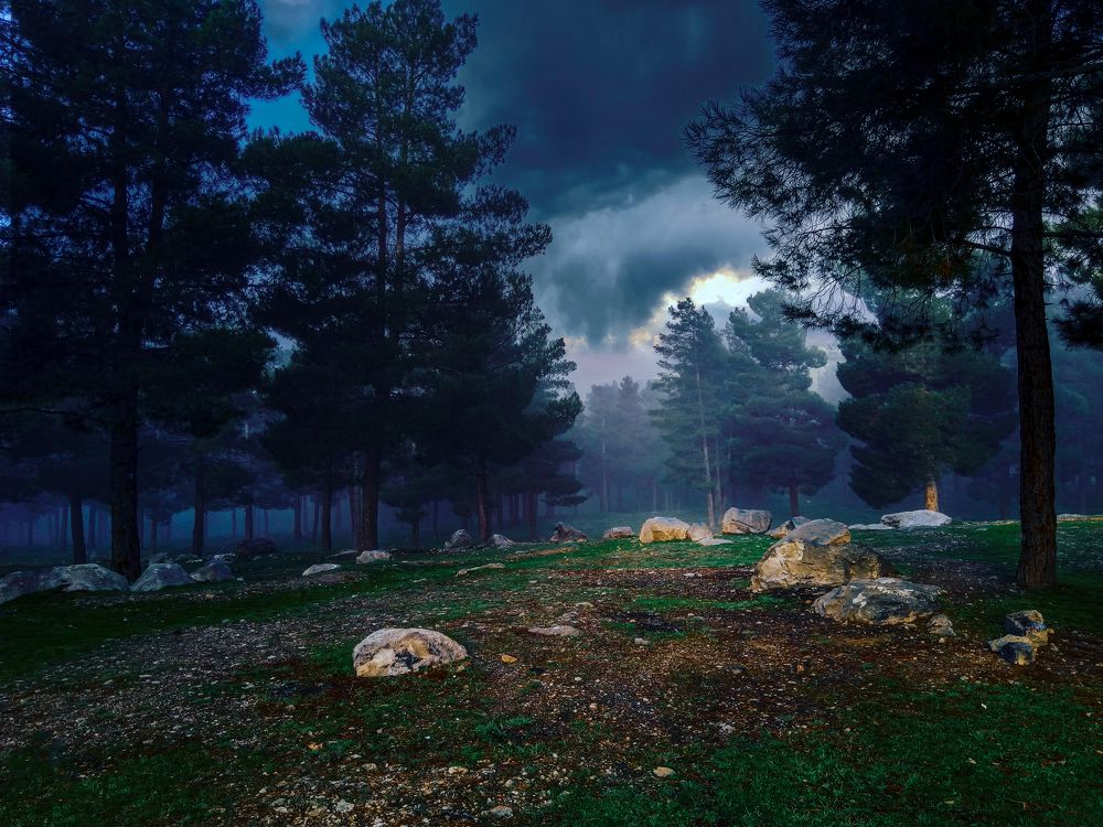 Фотография автора reza ahmadi