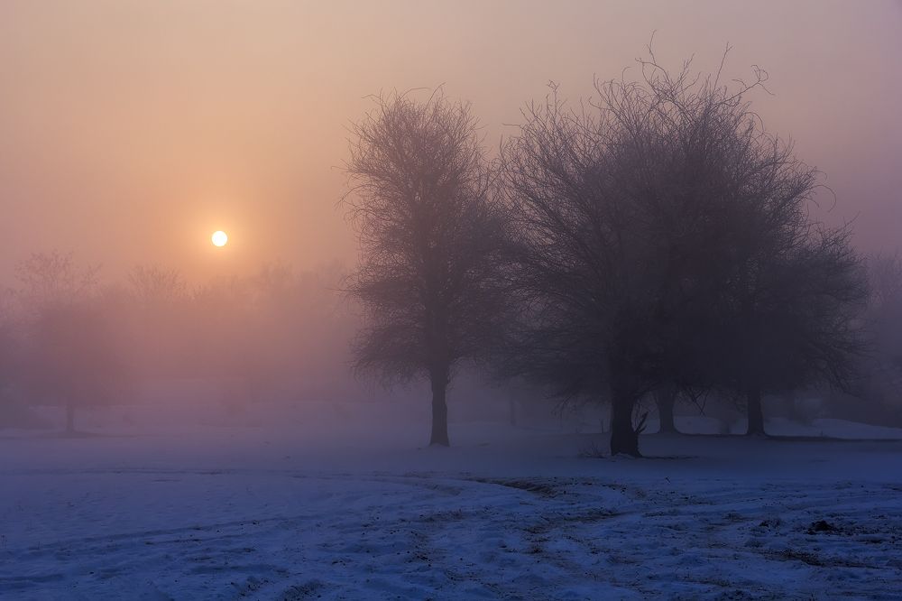 Photograph by niksnaksnikolos