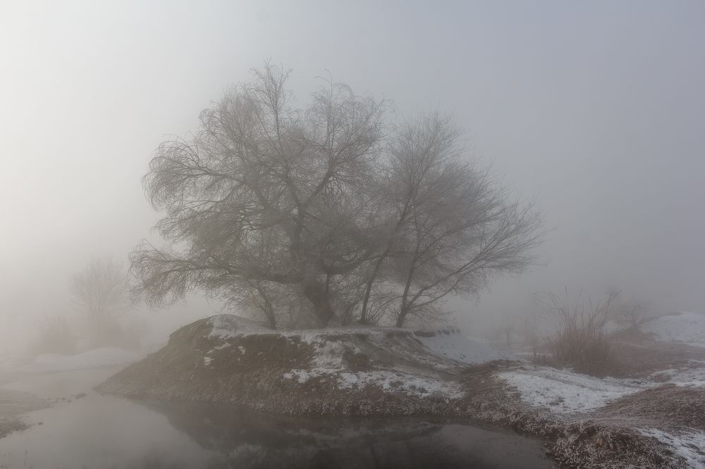 Photograph by niksnaksnikolos