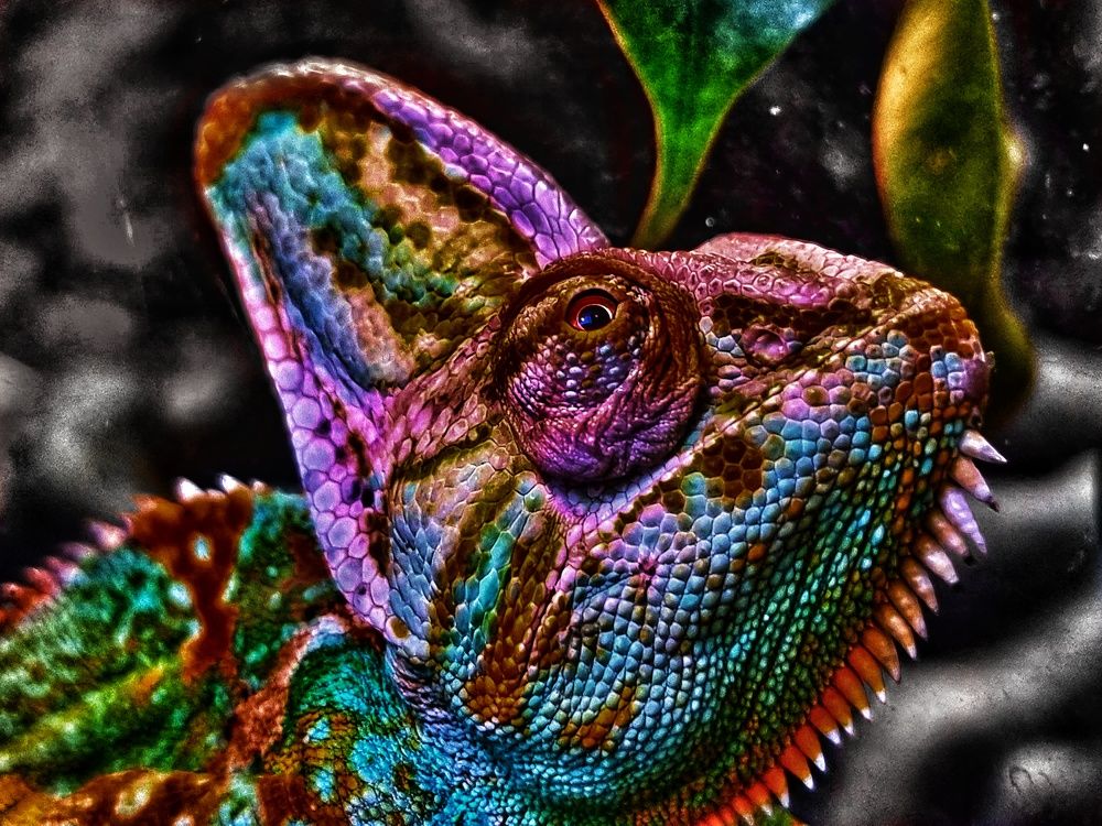 Photograph by Вячеслав Кононенео