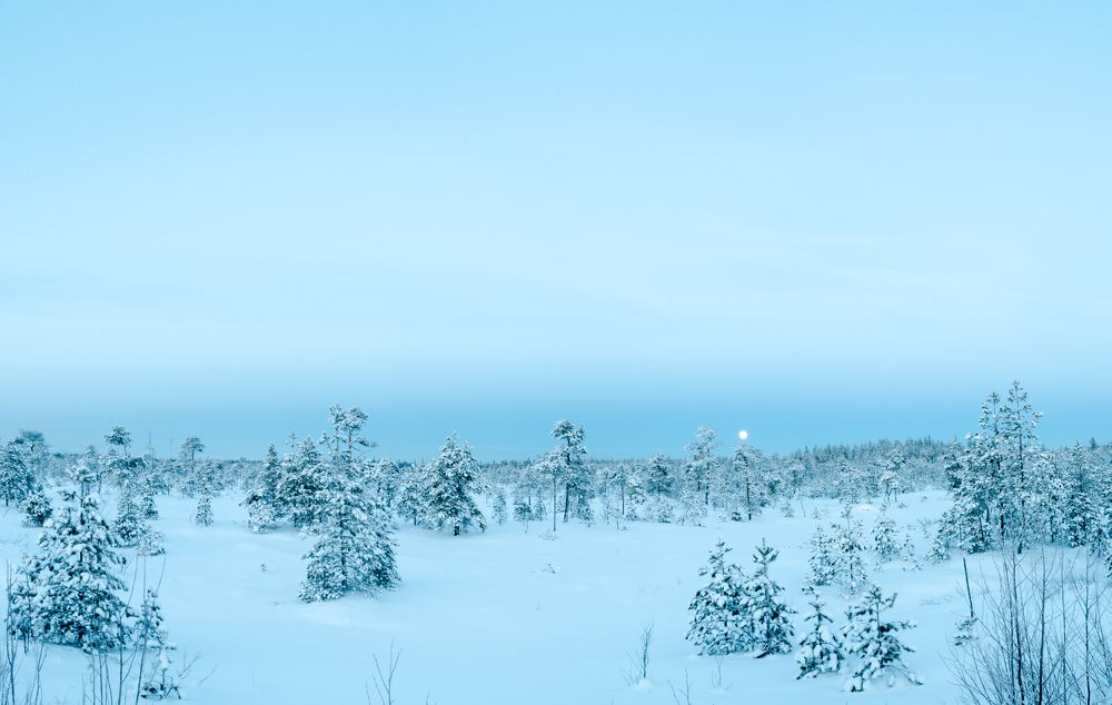 Photograph by Алексей Ильин