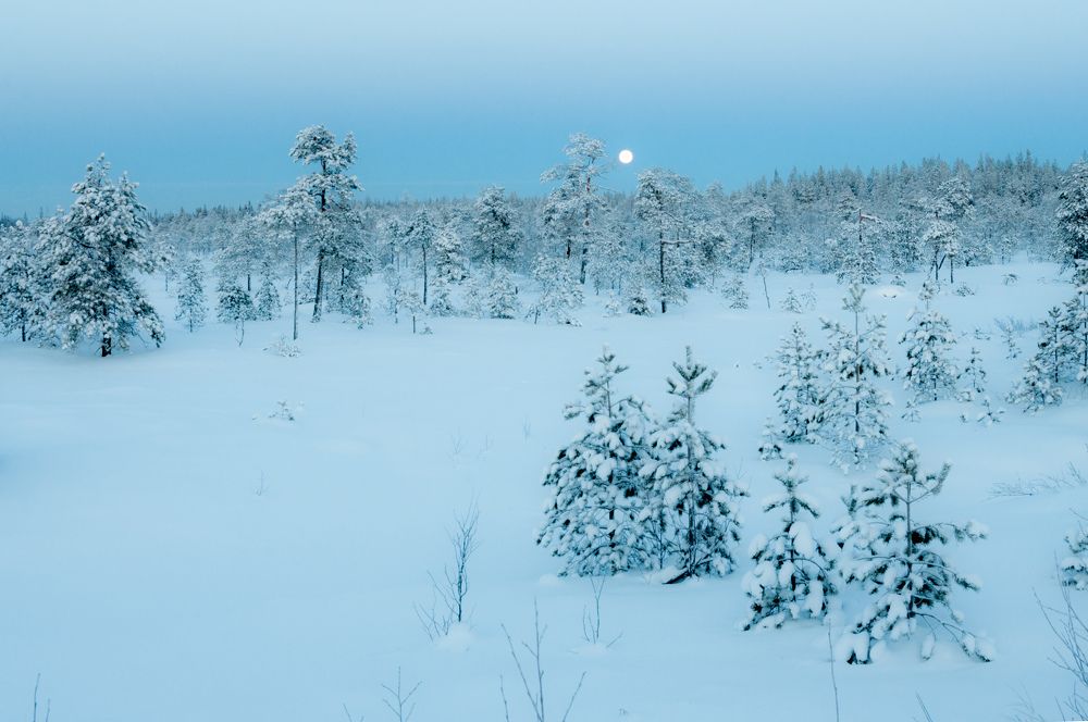 Photograph by Алексей Ильин