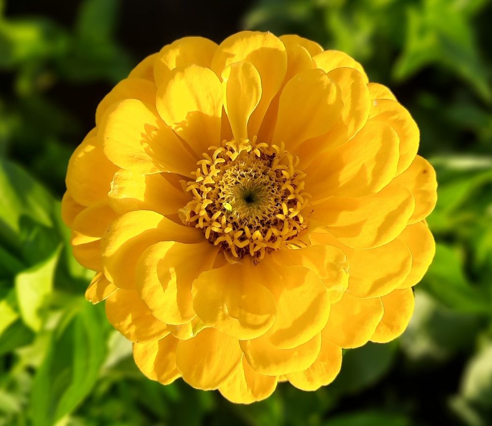 Photograph by Орл Про