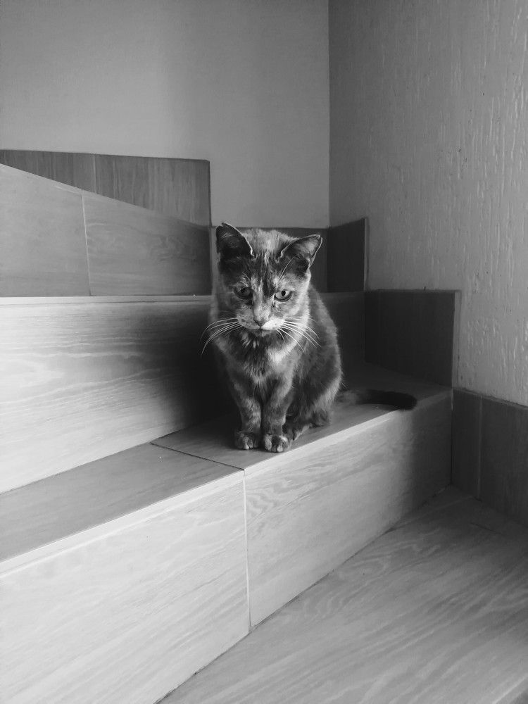 Photograph by Paulyshka Mila