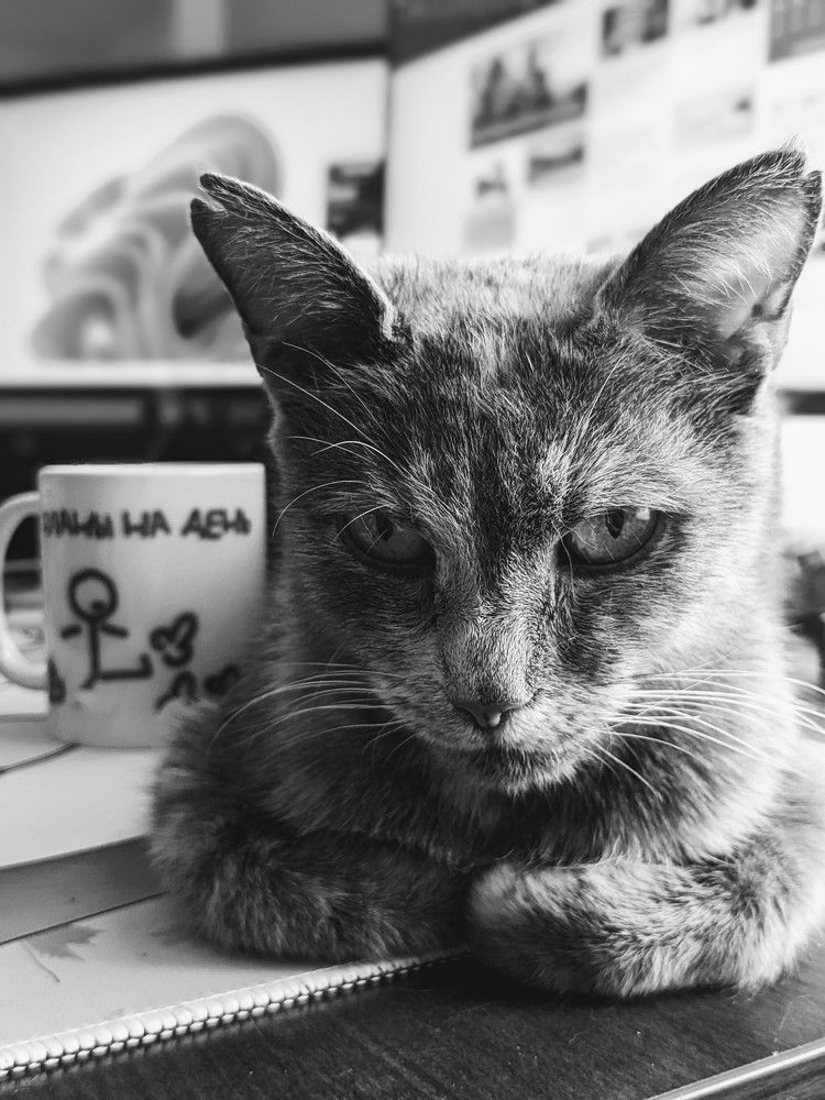 Photograph by Paulyshka Mila