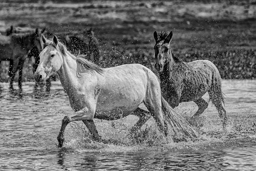 Photograph by Лазарев Сергей