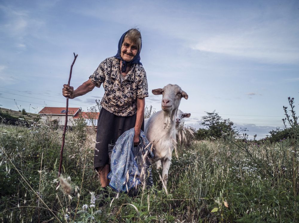 Photograph by strinoiu marian