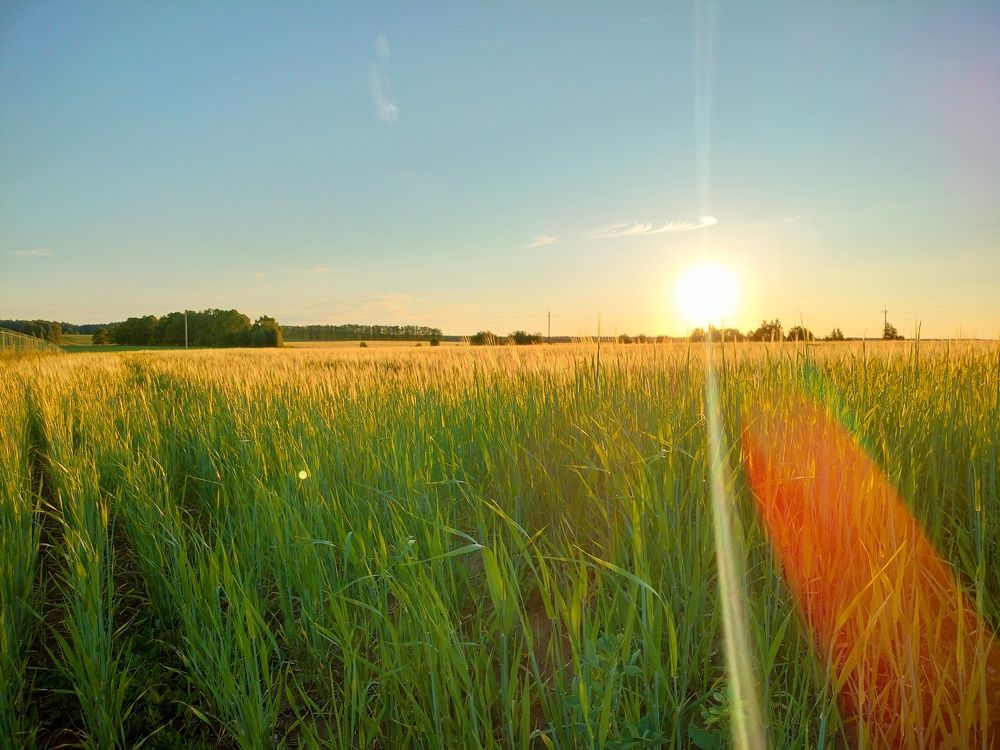 Photograph by Разиль