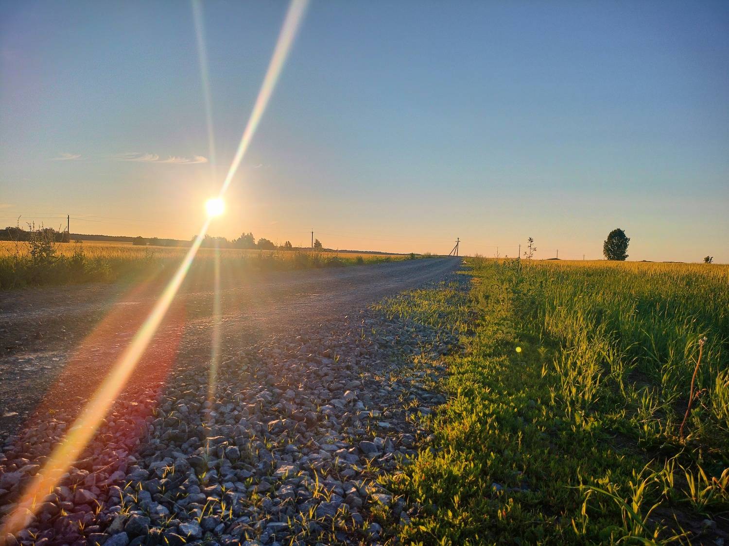 Photo #9224121