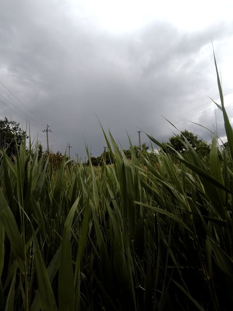 Photograph by Erika Osipova