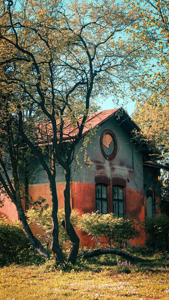 Photograph by Богдан Нагірний