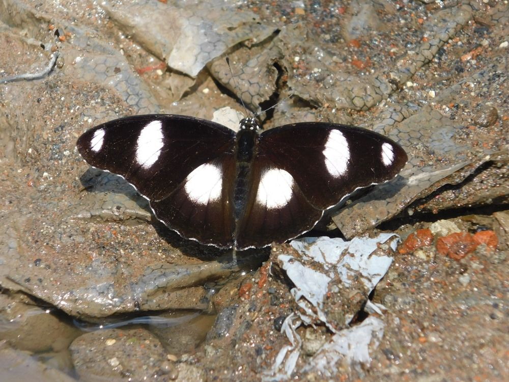 Photograph by reno reno