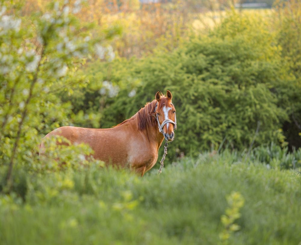 Photograph by Павло Юрасюк