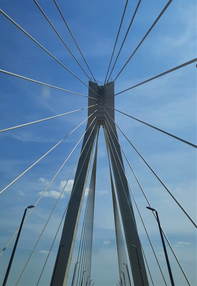 Фотография автора Елена Пикатова