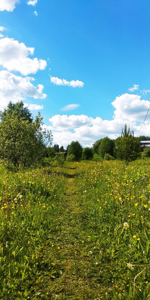 Photograph by Антонина Захарова