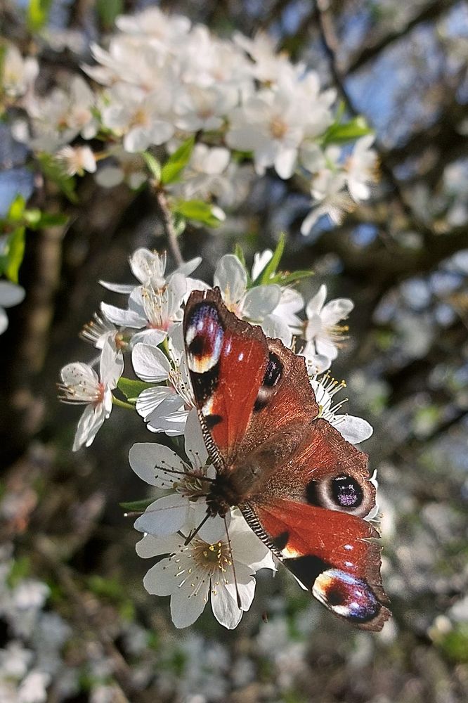 Photograph by Олена Лукашевич