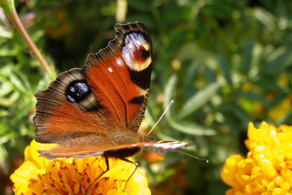 Photograph by Олена Лукашевич