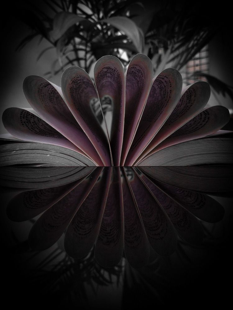 Photograph by Batool Sana