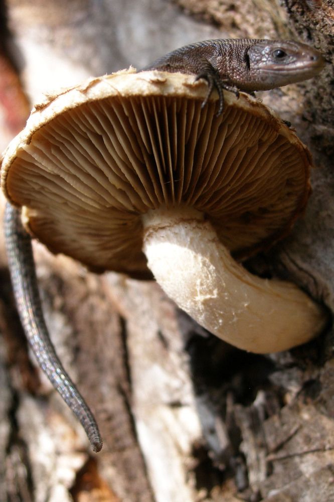 Photograph by Олена Лукашевич