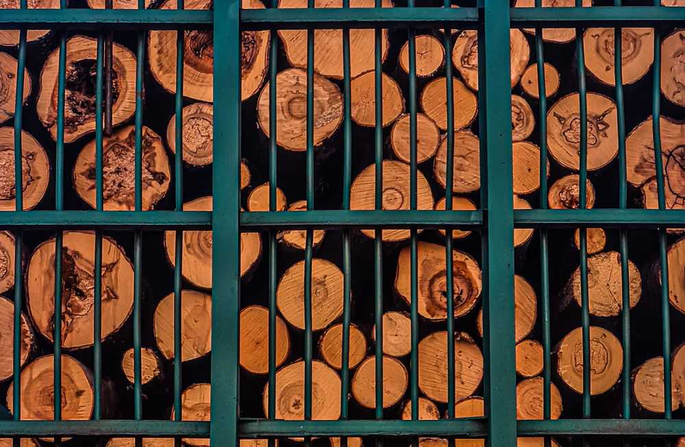 Photograph by Виталий Мартынов